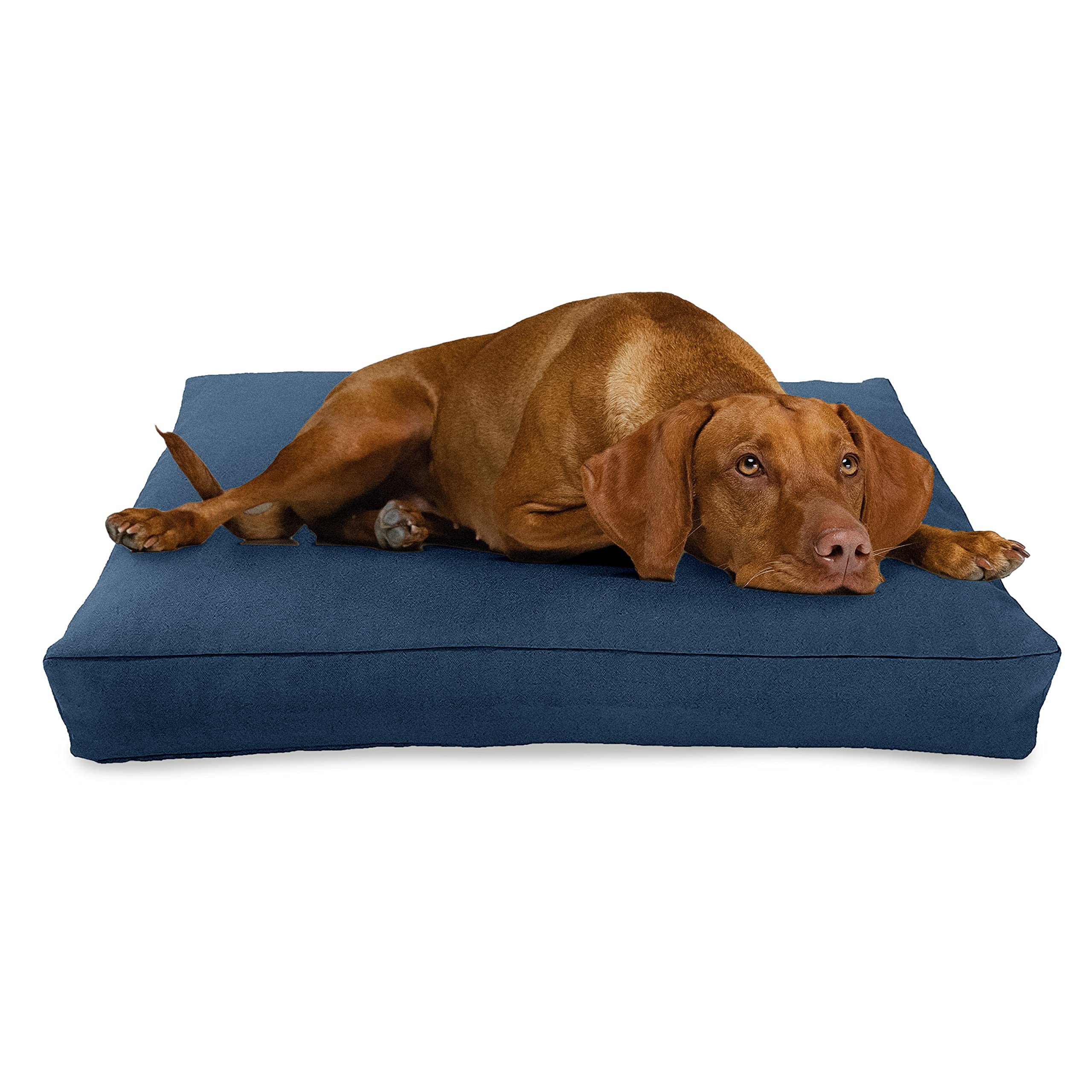 XX-Large 54 x 36 x 6 Inch Premium Organic Hemp Dog Bed with CertiPUR Fill & Removable Cover - Blueberry Color - Perfect for Large Breed Dogs in Living Room or Bedroom