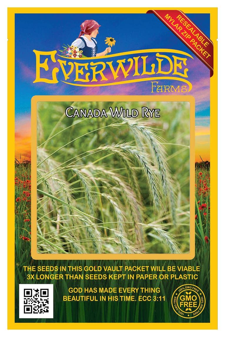 500 Canada Wild Rye Native Grass Seeds - Everwilde Farms Gold Vault Jumbo Seed Packet for Landscaping, Erosion Control & Wildlife Habitat