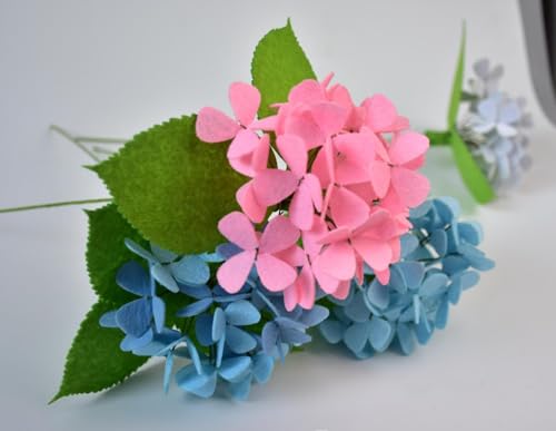 Hydrangea
