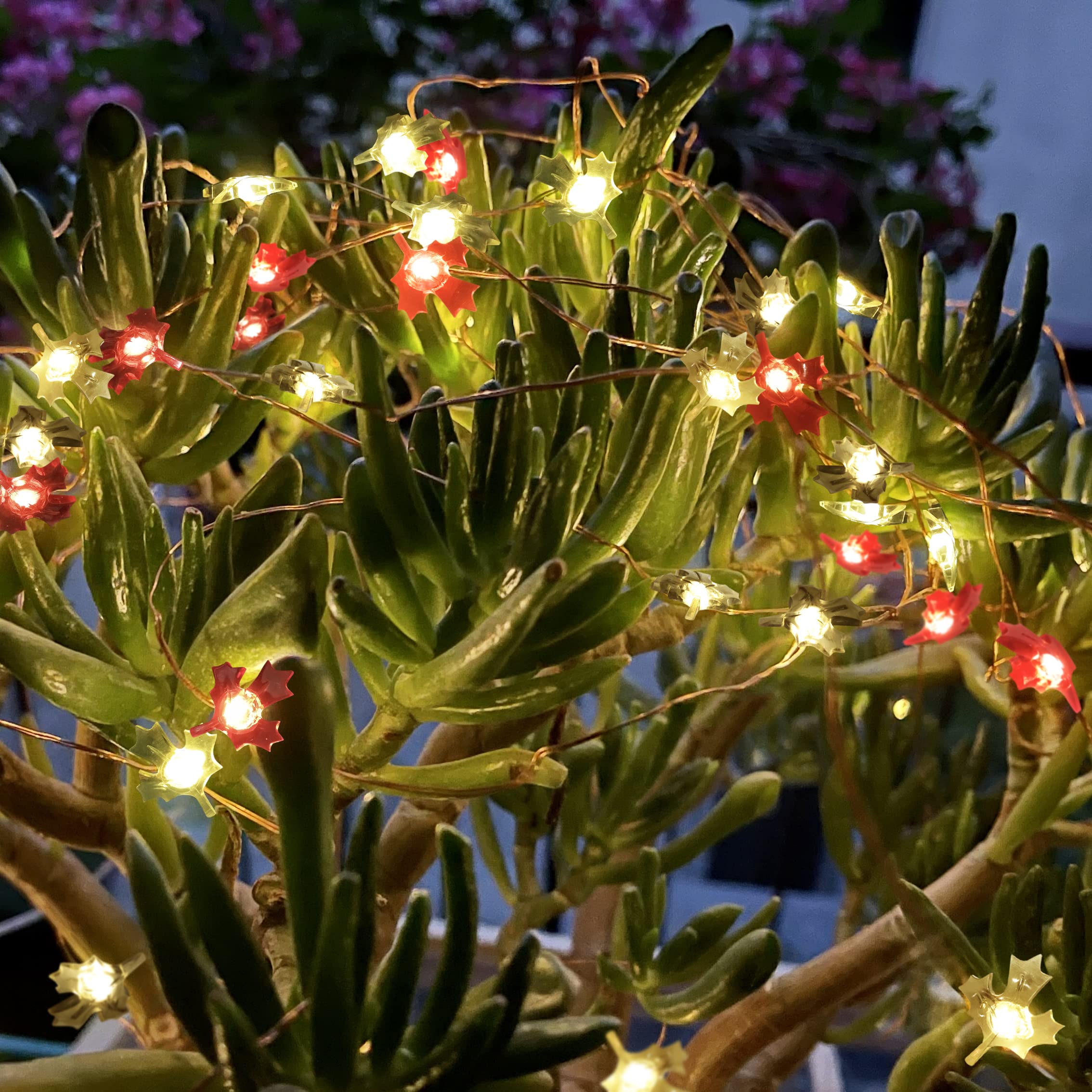 FURORA LIGHTING 20 LED Warm White Maple Leaf Fairy Lights - 90 Inch Battery Operated String Lights with 6/18 Hour Timer (Red & Green) for Bedroom, Christmas Tree, Wedding & Party Decorations