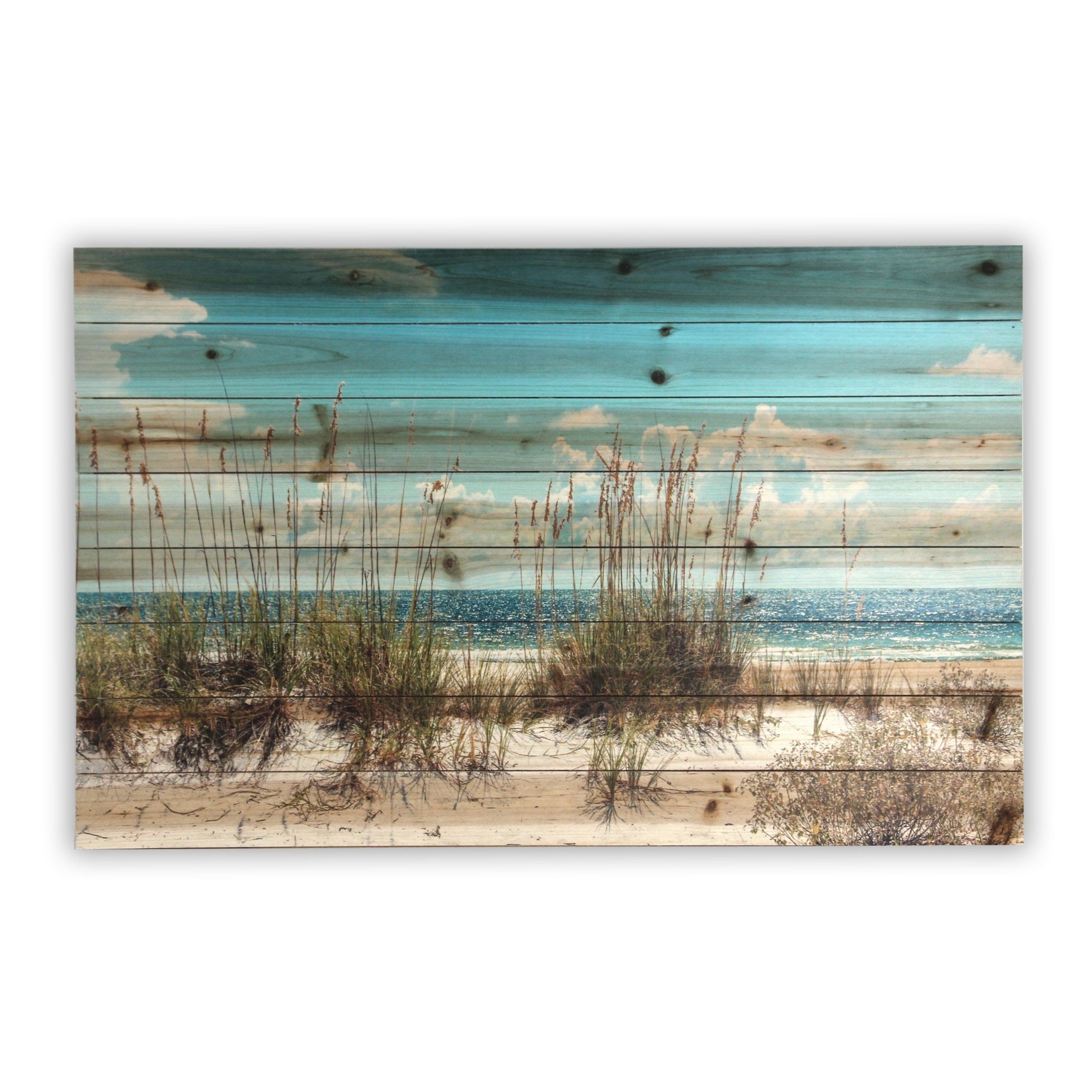 Beach Sand Dunes Landscape Photography Print on Reclaimed Wood Wall Art - Coastal Home Decor for Living Room, Bedroom & Office
