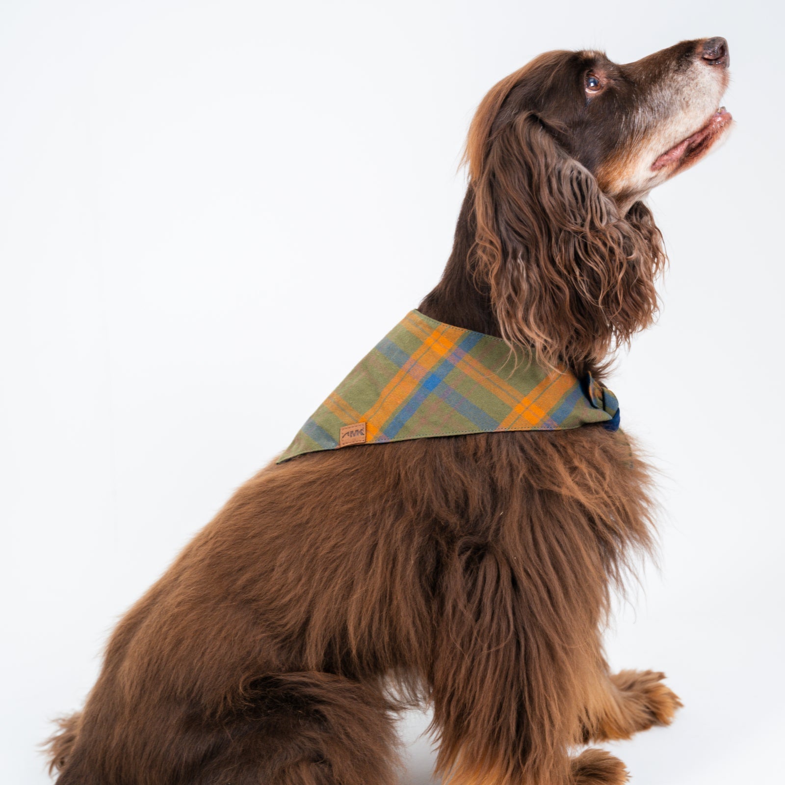 Dog Boone Bandana - Stylish & Comfortable Pet Bandana for Dogs - Perfect for Outdoor Adventures, Walks & Special Occasions