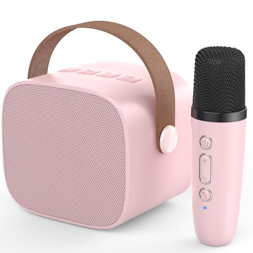 Pink 1 Mic