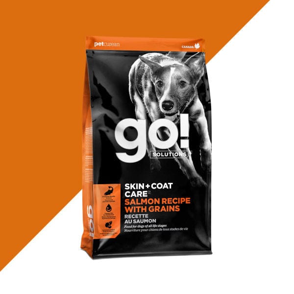 Go! Solutions Skin & Coat Care Salmon Recipe with Grains Dry Dog Food - Premium Omega-3 Rich Kibble for Healthy Skin & Shiny Coat - Ideal for Adult Dogs with Sensitive Skin & Allergies
