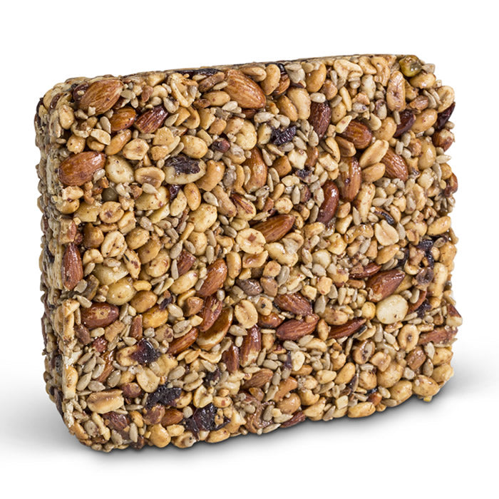 Nutsie Seed Cake - Organic, Vegan & Gluten-Free Bird Treat - Perfect for Wild Birds, Parrots & Backyard Feeders