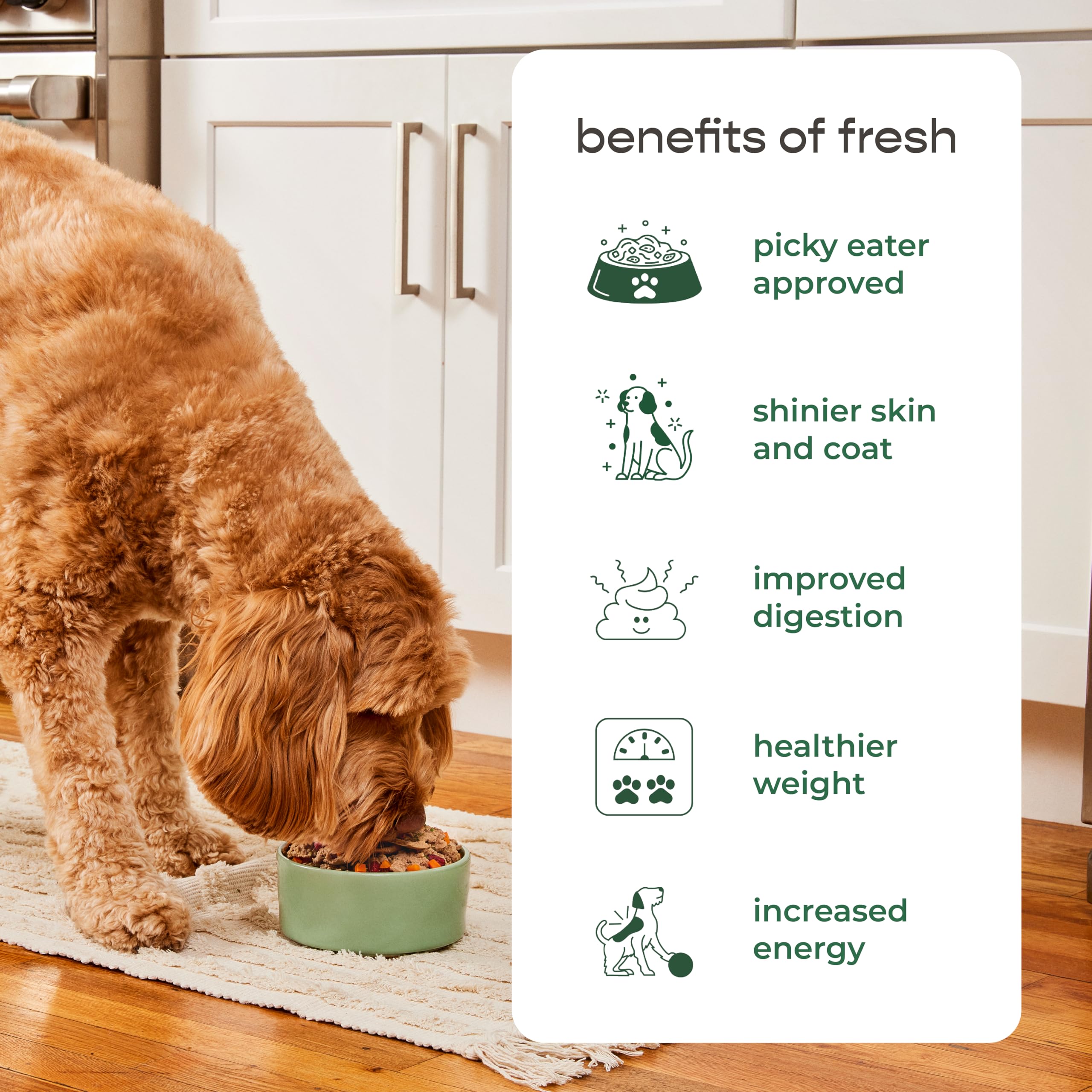 Freshpet Grain Free Dog Food - Natural Fresh Chicken Recipe for Small & Medium Dogs - 1.75lb Pack - Perfect for Daily Meals & Training Treats