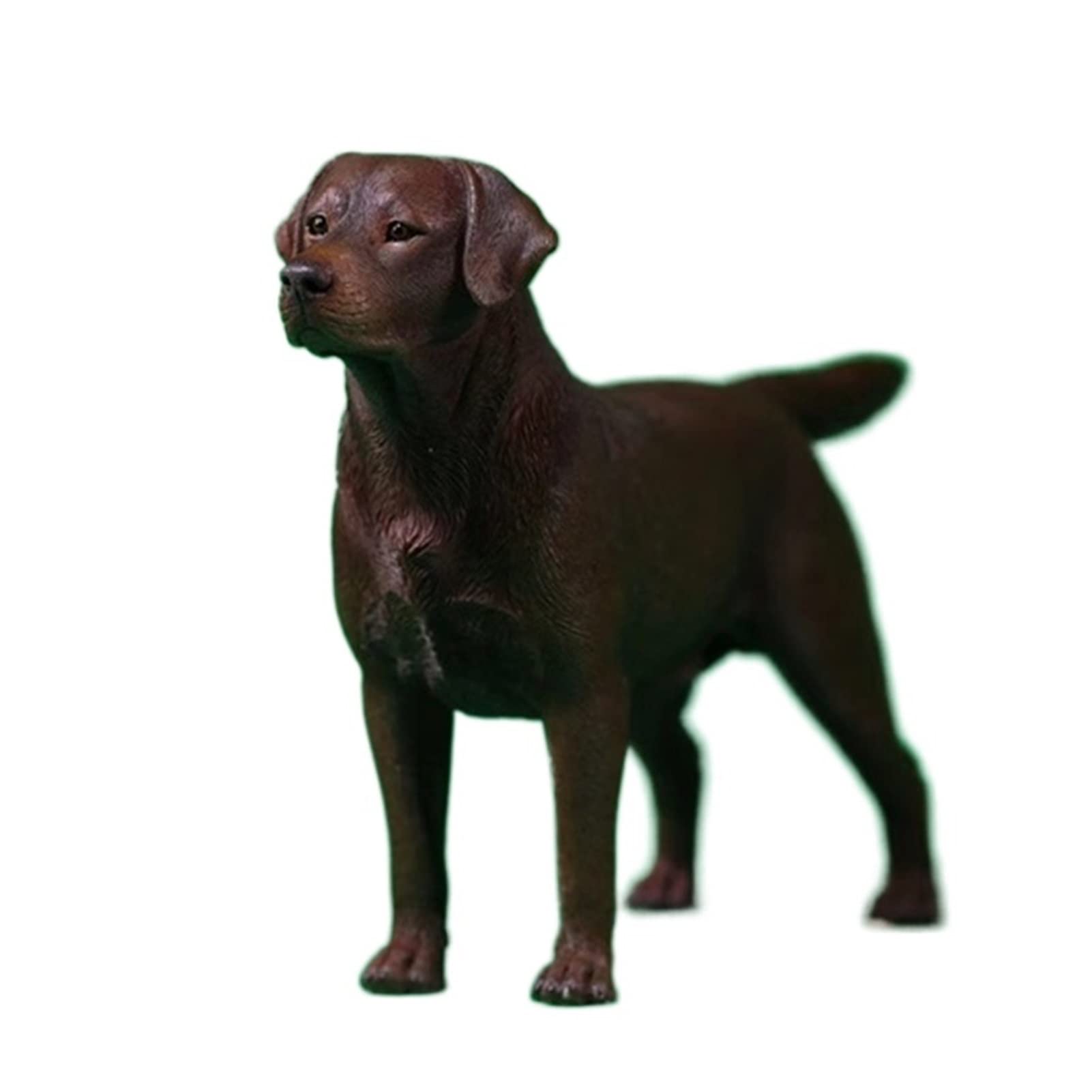 BELLAALONG 1:6 Scale Realistic Labrador Retriever Dog Resin Statue - Lifelike Pet Animal Figure for Home Office Decor, Collectible Jungle Animal Model (Color C) - Perfect for Shelf Displays, Gift Giving, and Animal Lovers' Collections