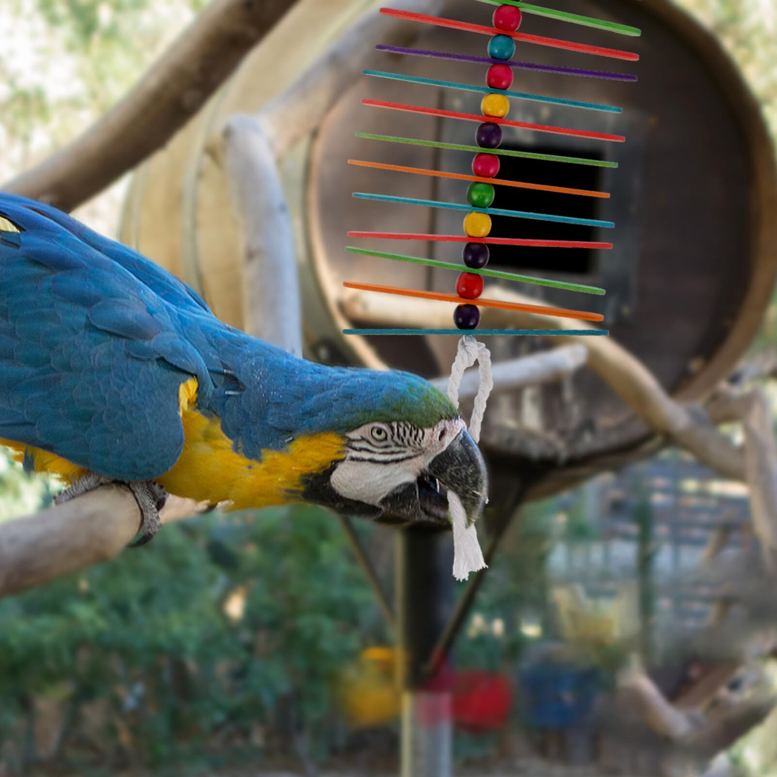Balacoo Natural Wooden Bird Chew Toys for Parrots & Parakeets - 2pcs Hanging Chew Blocks, Colorful Biting Molar Sticks - Perfect for Cage Enrichment & Beak Exercise