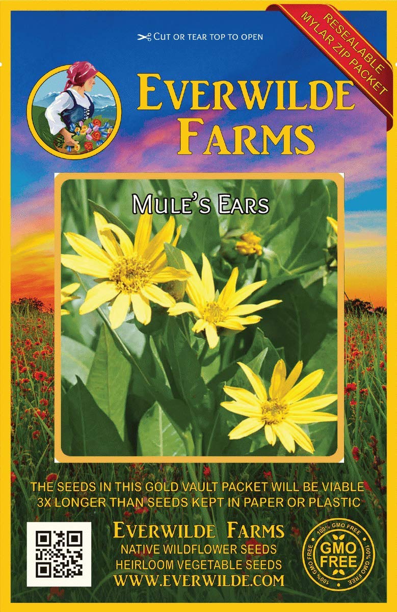 Everwilde Farms - 50 Mule's Ears Native Wildflower Seeds - Gold Vault Jumbo Seed Packet for Garden, Landscaping & Pollinator-Friendly Planting