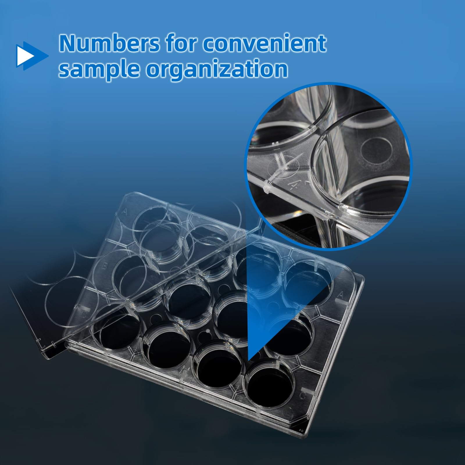 12-Well Sterile Polystyrene Cell Culture Plates with Lids - Individually Wrapped, Tissue Culture Treated for Laboratory Use | Ideal for Cell Growth, Chemical Reactions & Biomedical Research