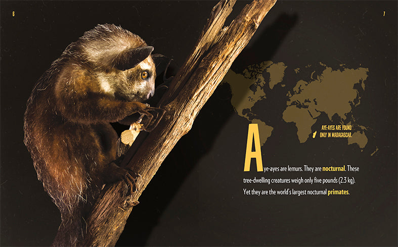Aye Ayes Book - ISBN 978-1-64026-116-7 | Educational Children's Storybook for Bedtime Reading & Classroom Learning