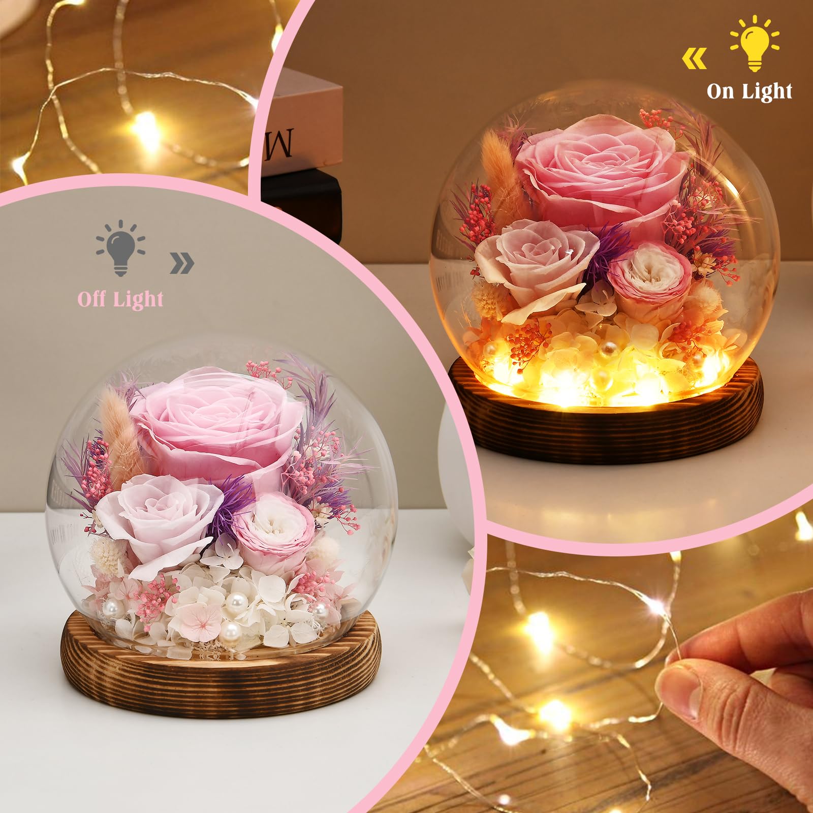 Preserved Roses in Glass Dome with LED Light - Perfect Gift for Women, Mom, Grandma - Mother's Day, Birthday, Valentine's Day Present (Pink) | Home Decor, Wedding Centerpiece, Romantic Keepsake