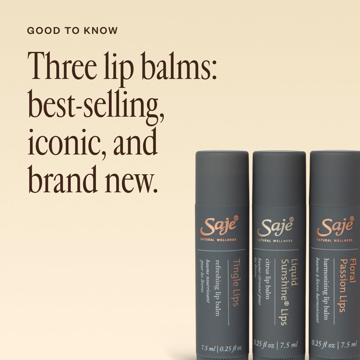Nourishing Lip Balm Trio Set - Hydrating & Moisturizing Lip Care for Dry Lips - Perfect for Daily Use, Travel & Gifting