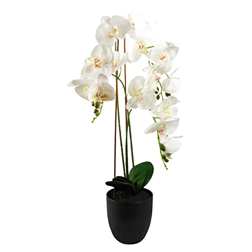 70cm White Plastic Pot
