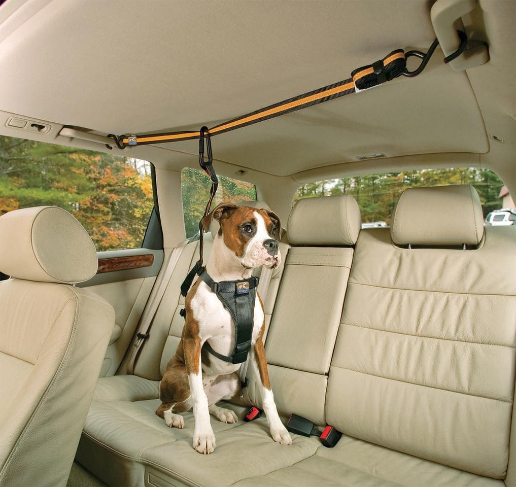 Kurgo Auto Zip Line Dog Seat Belt for Cars - Adjustable Pet Safety Harness for Travel & Road Trips - Secure Your Dog in the Vehicle