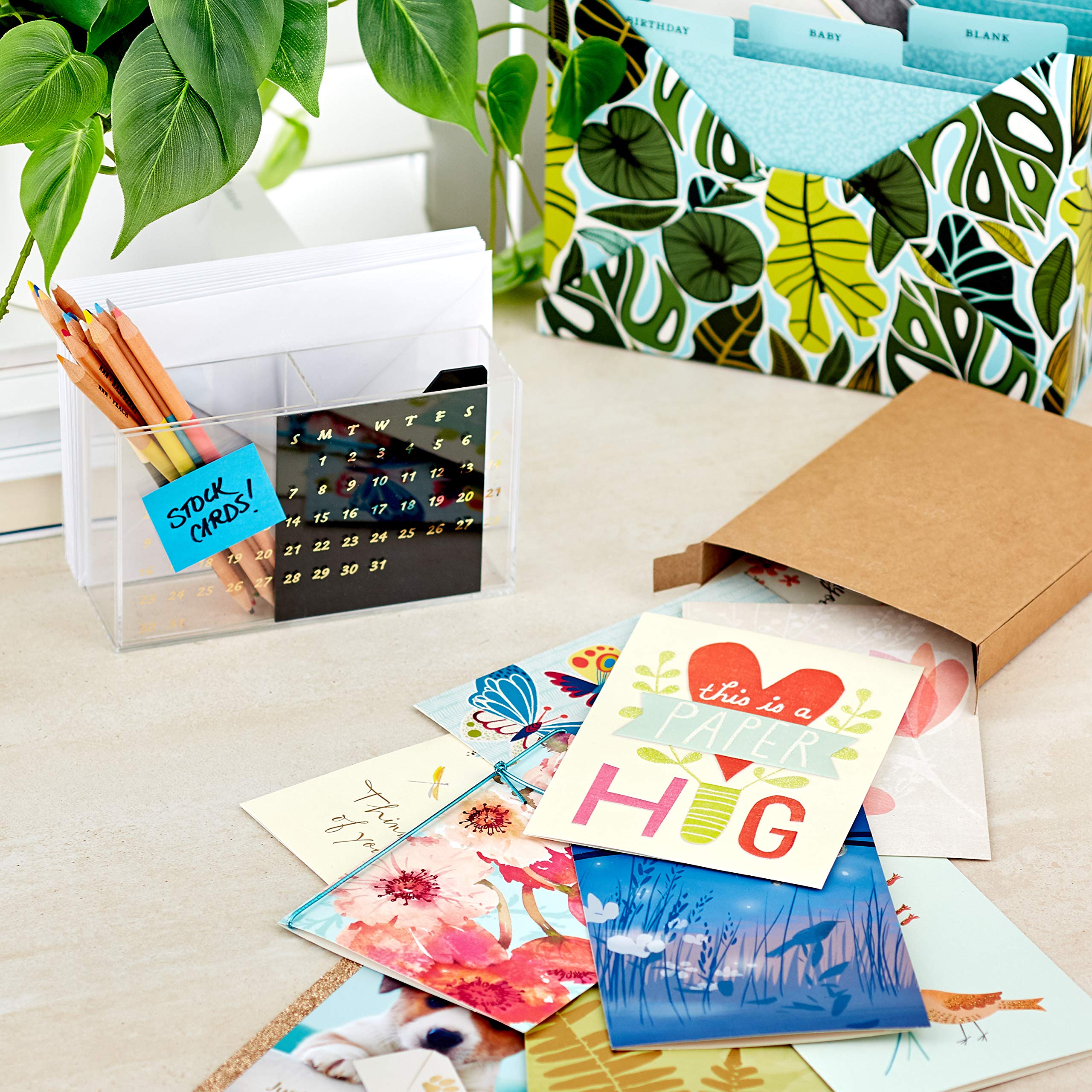 Hallmark All Occasion Greeting Cards Set - 12 Assorted Thank You, Thinking of You & Sympathy Cards with Organizer Box | Perfect for Birthdays, Anniversaries & Condolences | Premium Quality Refill Pack for Card Organizers