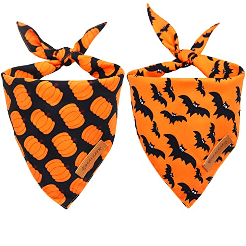 Halloween 2