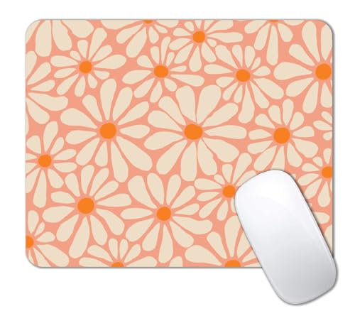 Orange Daisy Flowers