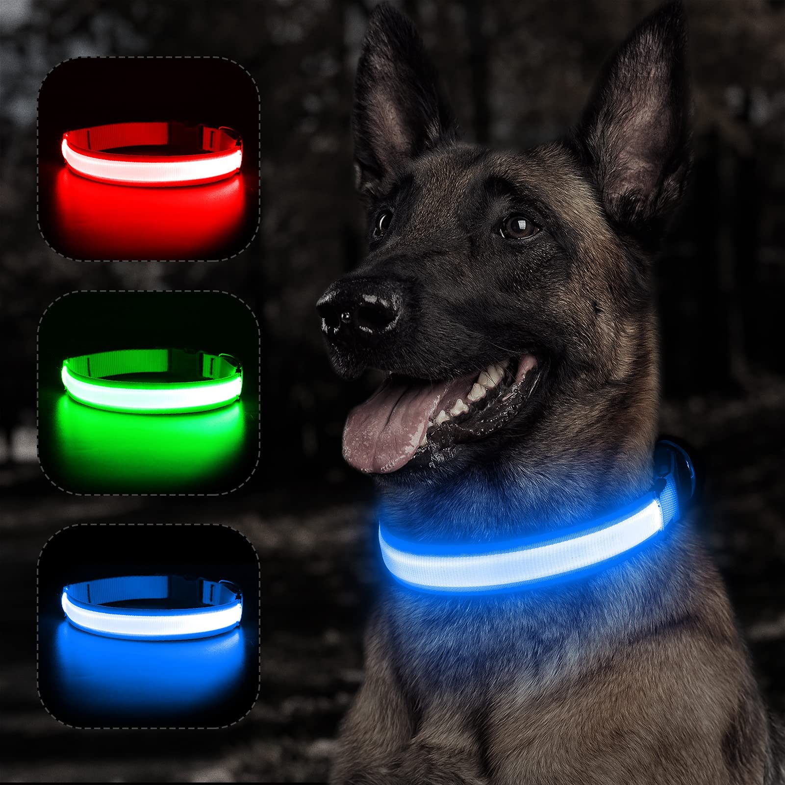 BSEEN Rechargeable LED Dog Collar - Waterproof Reflective Glow in The Dark Collar for Small Dogs, Night Safety Walking Gear with Bright Royal Blue Light - Perfect for Evening Walks, Jogging & Outdoor Adventures