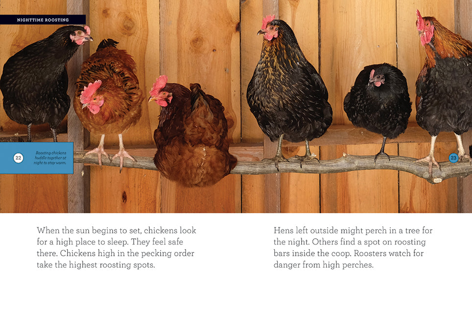 9781640262294 Chicken Raising Guide Book - Best Poultry Farming Tips for Beginners | Perfect for Backyard Coops & Homesteading