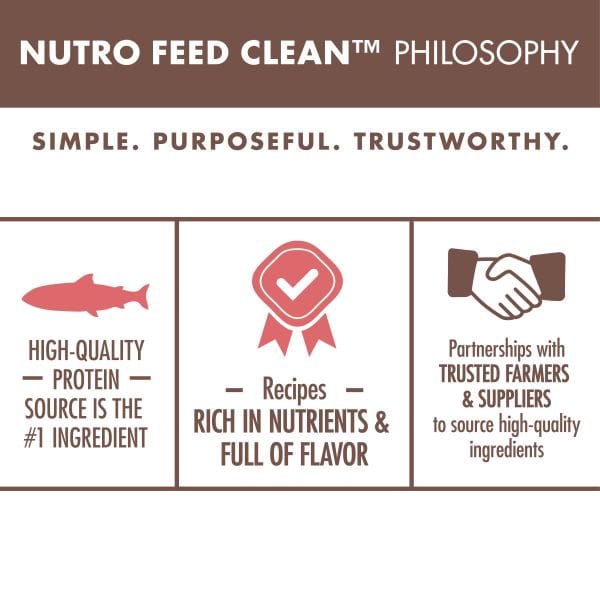 Nutro Wholesome Essentials Salmon & Brown Rice Adult Dry Cat Food - High Protein Natural Cat Kibble for Indoor & Outdoor Cats - Perfect for Daily Meals & Weight Management