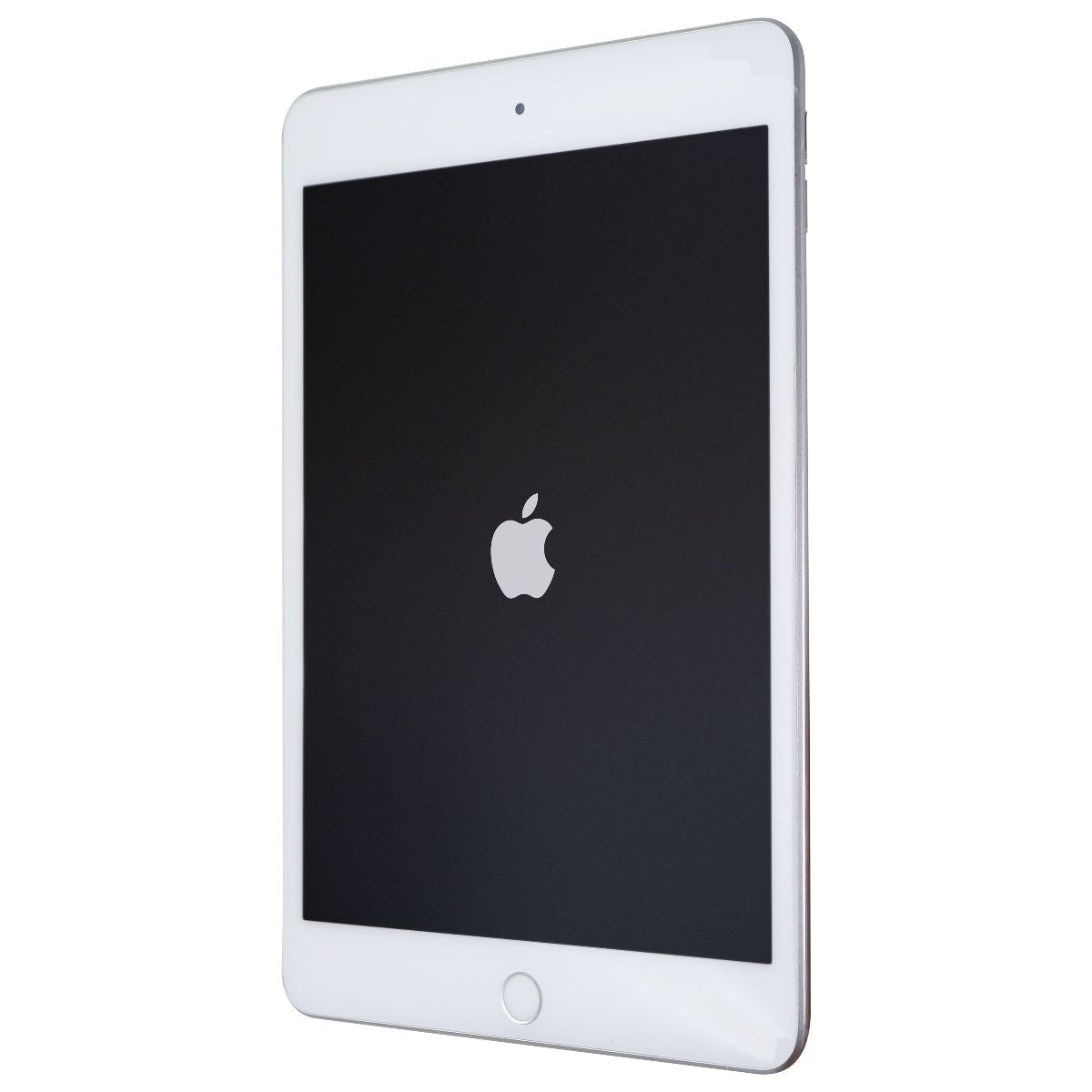 Apple iPad Mini 5th Generation (7.9 inch) Wi-Fi Tablet - 64GB, Silver | Portable Entertainment, Work & Study Device for Home, Office & Travel