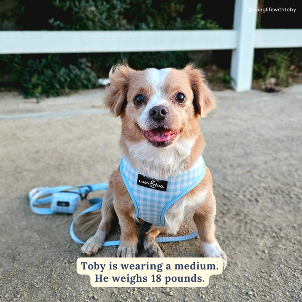 Lucy&Co Reversible Dog Harness - Adjustable No-Pull Pet Vest for Small to Medium Dogs | Perfect for Walking, Hiking & Outdoor Adventures