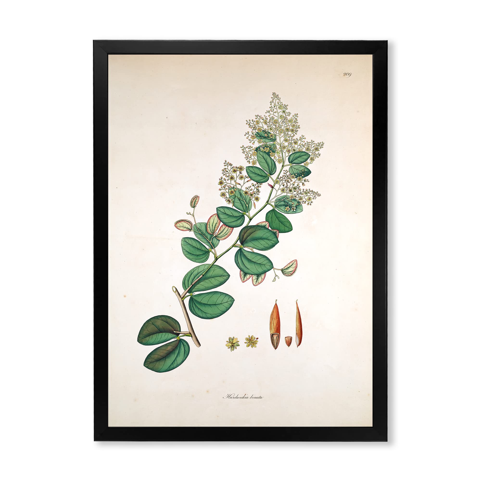 Vintage Botanical Wall Art Framed - Farmhouse Decor for Living Room, Bedroom & Office - Nature Inspired Home Decor for Rustic & Modern Interiors