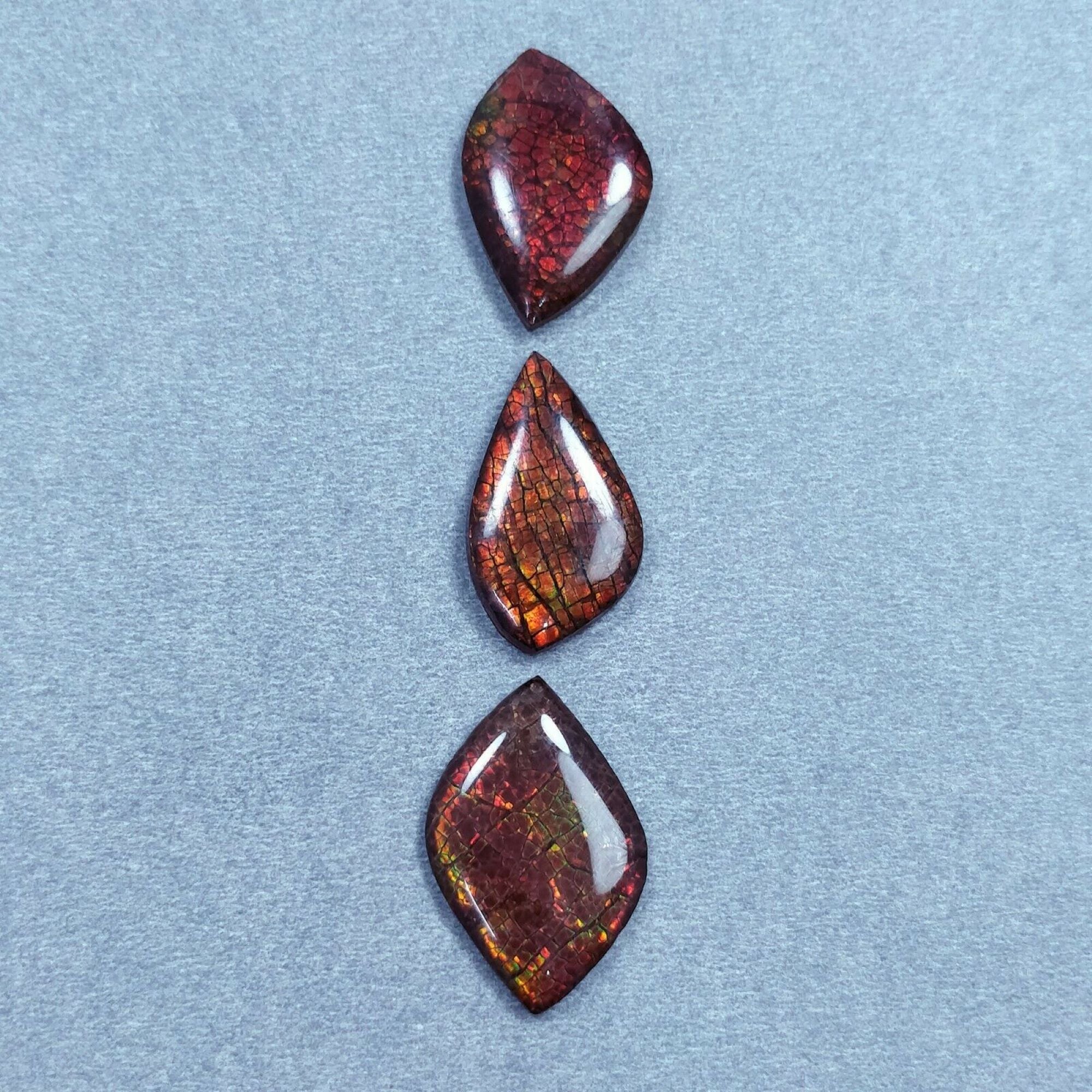 Natural AMMOLITE Gemstone Cabochon - Bi-Color Fossilized Shell, 23.5x15mm & 26x16mm, Handmade Jewelry Making, Unique Uneven Shape - Perfect for Rings, Pendants & DIY Craft Projects