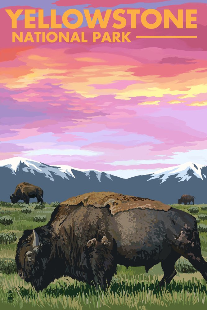 Yellowstone National Park Bison Sunset Wall Art - 24x36 Signed Print Master Poster, Wyoming Landscape Decor for Living Room, Office & Bedroom
