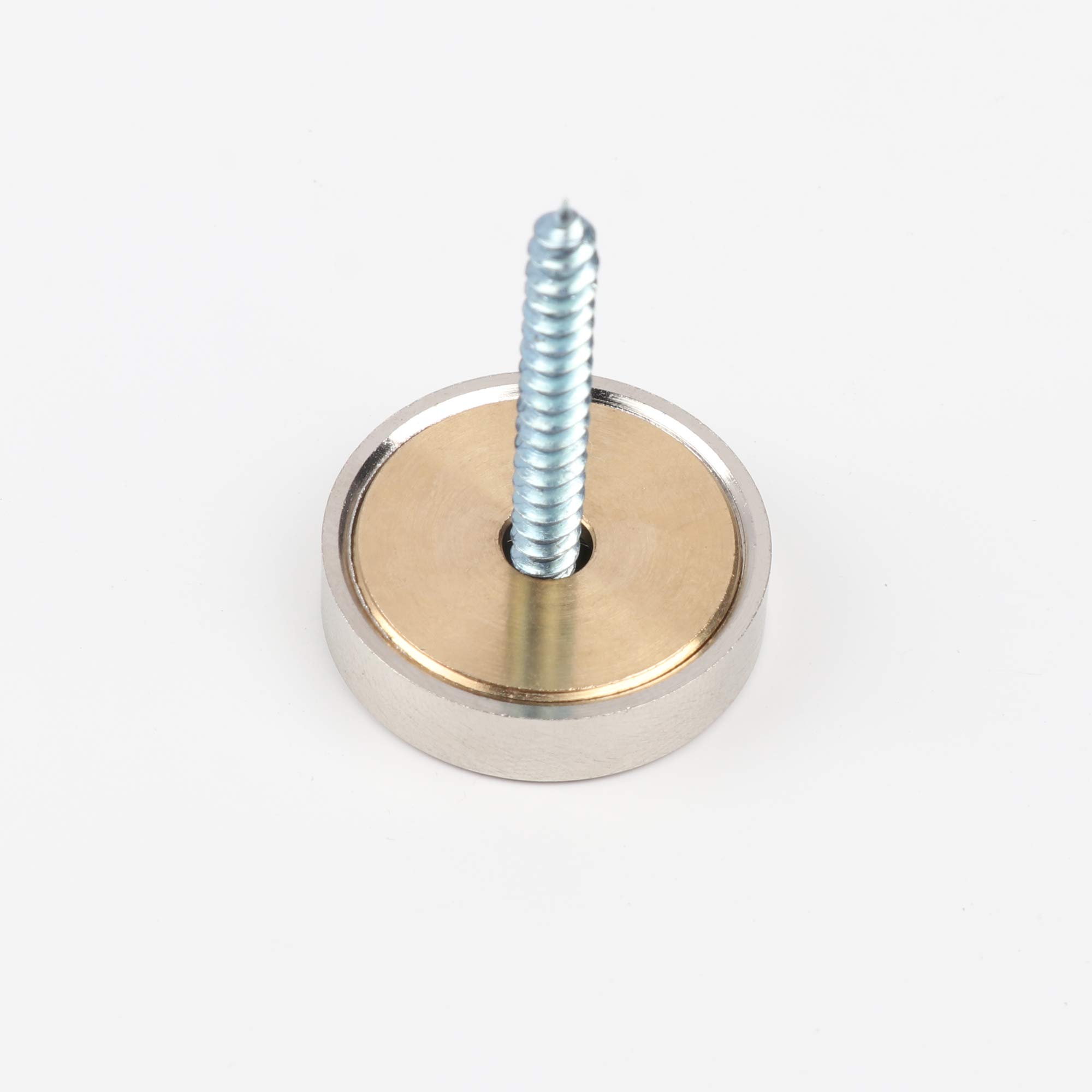 Decorative Brass Mirror Screws with Satin Nickel Finish - 1 Inch Mirror Nails (4 Pack) - Perfect for Framing Mirrors, Wall Art, and DIY Home Decor Projects