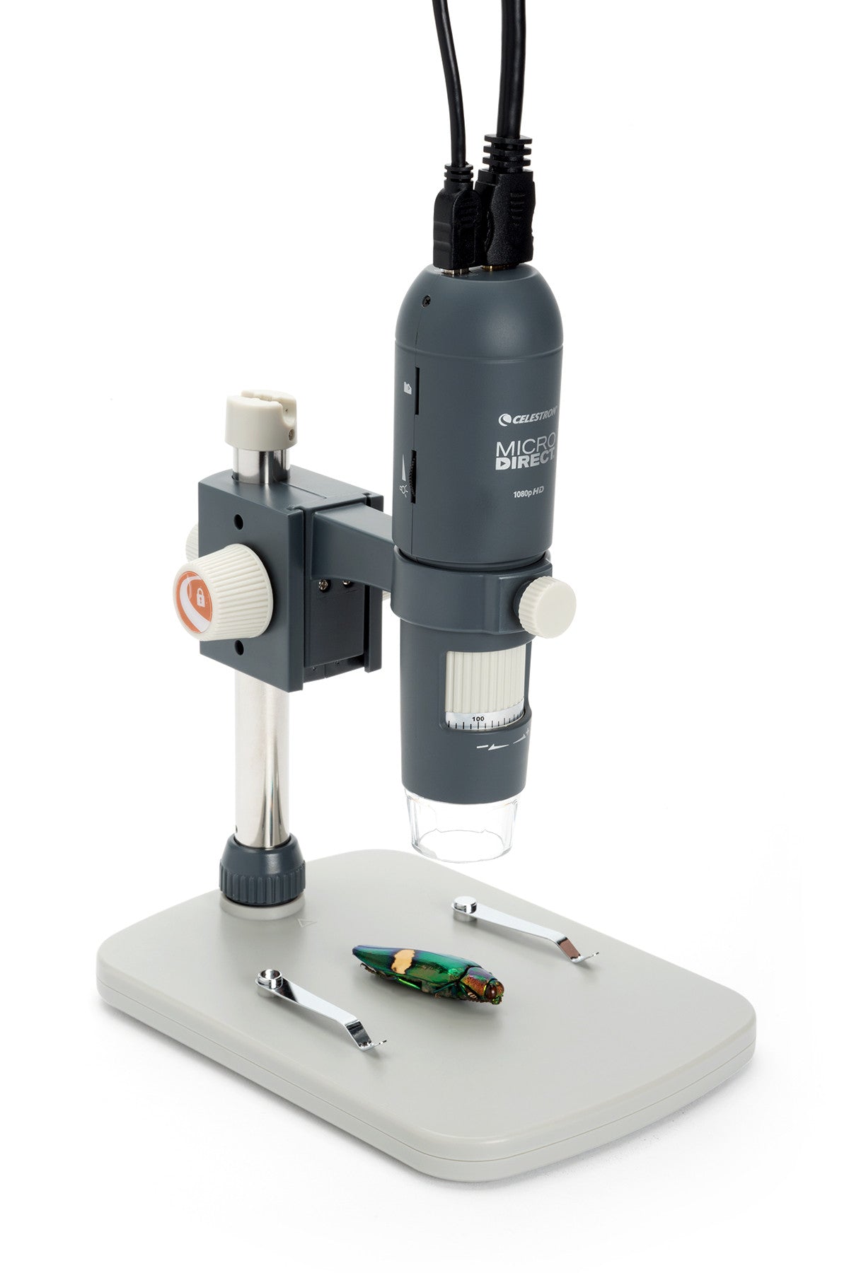 Celestron MicroDirect 1080p HD Handheld Digital Microscope with 2MP Camera - Perfect for Coin Collecting, Jewelry Inspection & Science Education (Model 44316)