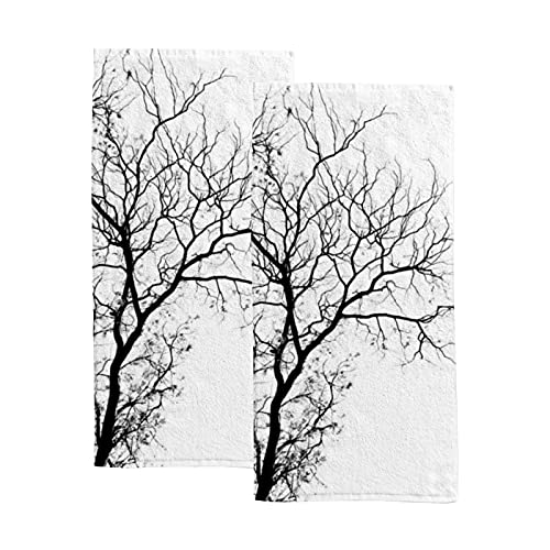 Bare Tree Branches on Pale White