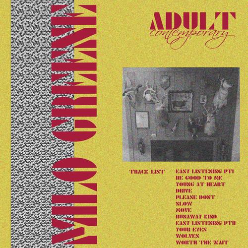Adult Contemporary Vinyl LP Records - High-Quality Music Albums for Collectors & Audiophiles - Perfect for Home Listening & Gifts