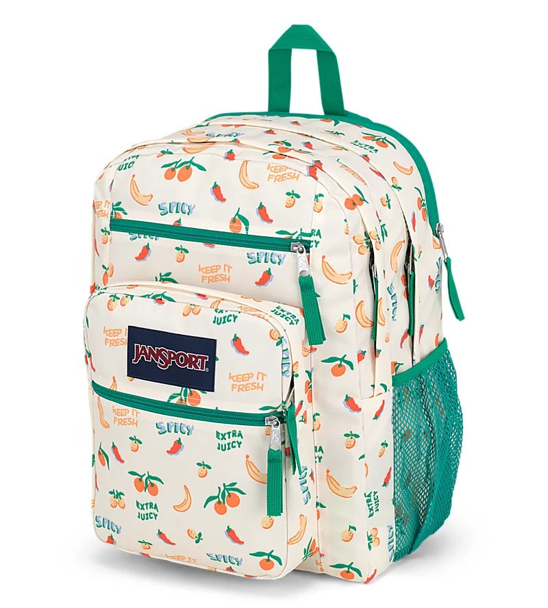 Large Capacity Durable Student Backpack for School, College, Travel & Work - Water Resistant Laptop Bag with Multiple Pockets for Books, Notebooks & Essentials