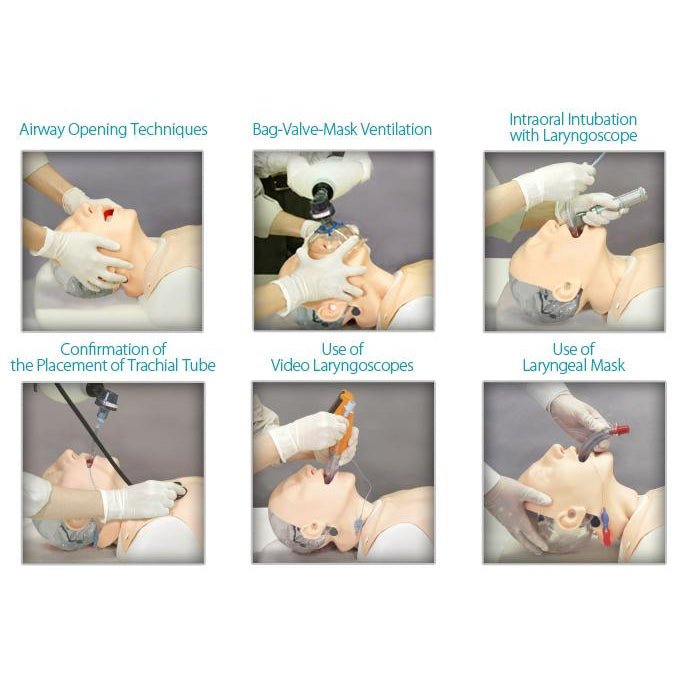 Difficult Airway Management Simulator - High-Fidelity Medical Training Model for Anesthesia & Emergency Practice - Perfect for Hospitals, Medical Schools & Residency Programs