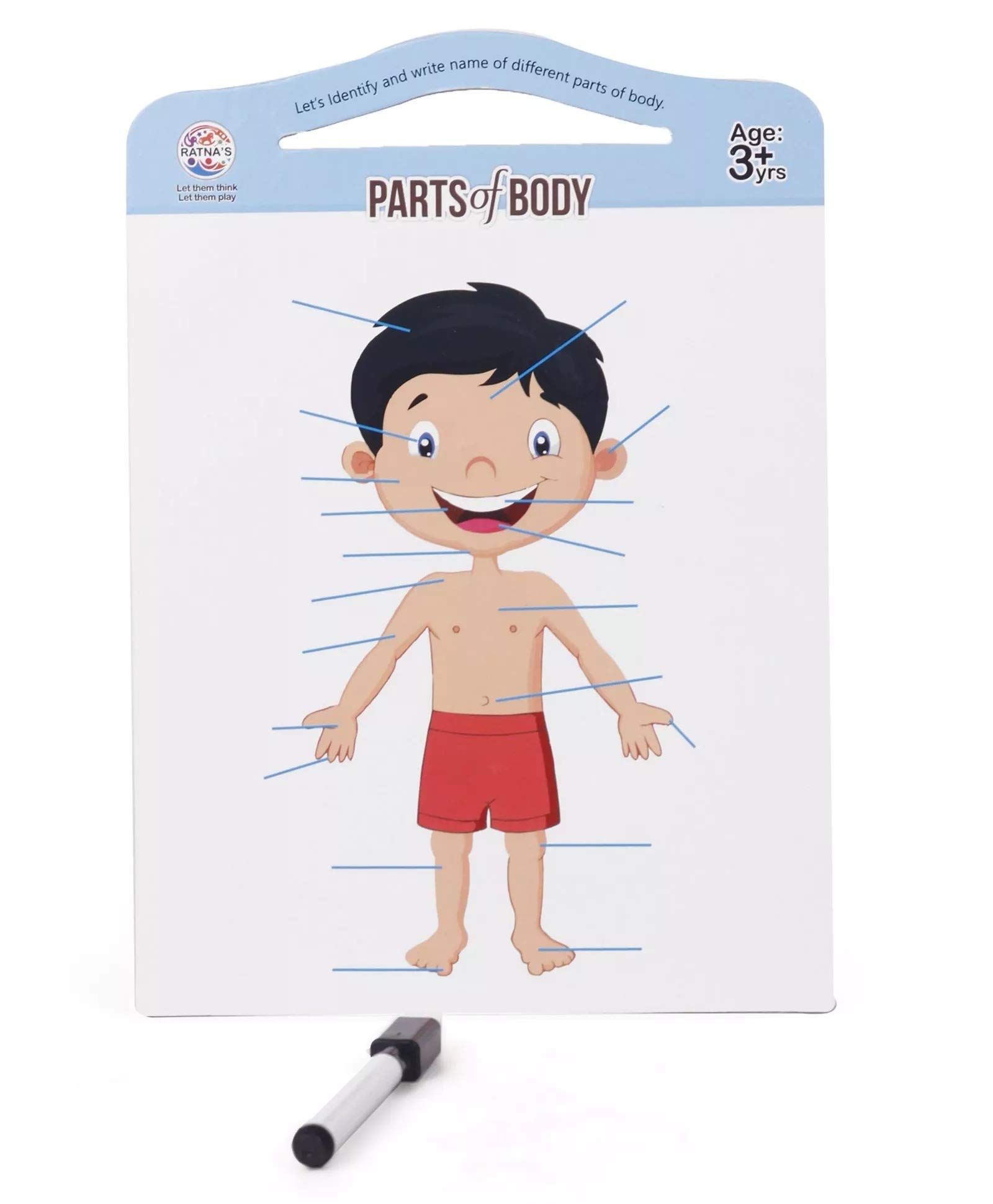 RATNA's 2-in-1 Educational Body Parts Jigsaw Puzzle for Kids with Write & Wipe Board - Learn Human Anatomy Through Play | Perfect for Homeschooling & Preschool Learning Activities