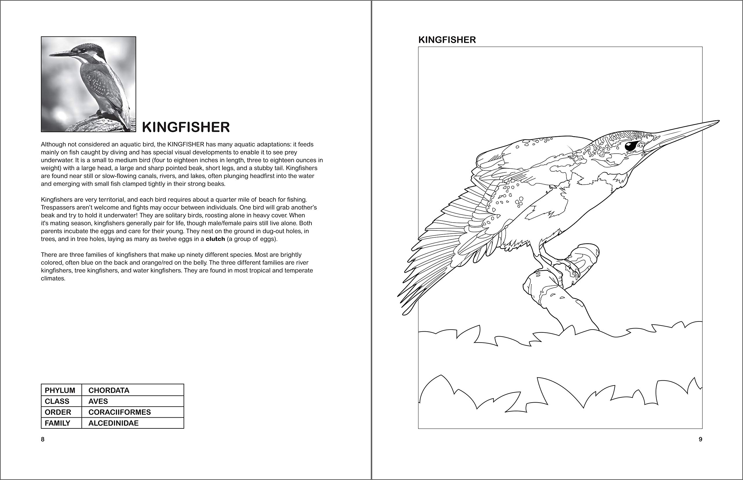 The Aquatic Birds Coloring Book for Adults & Kids - Relaxing Bird Coloring Pages with Beautiful Waterfowl Designs | Perfect for Stress Relief, Art Therapy & Nature Lovers