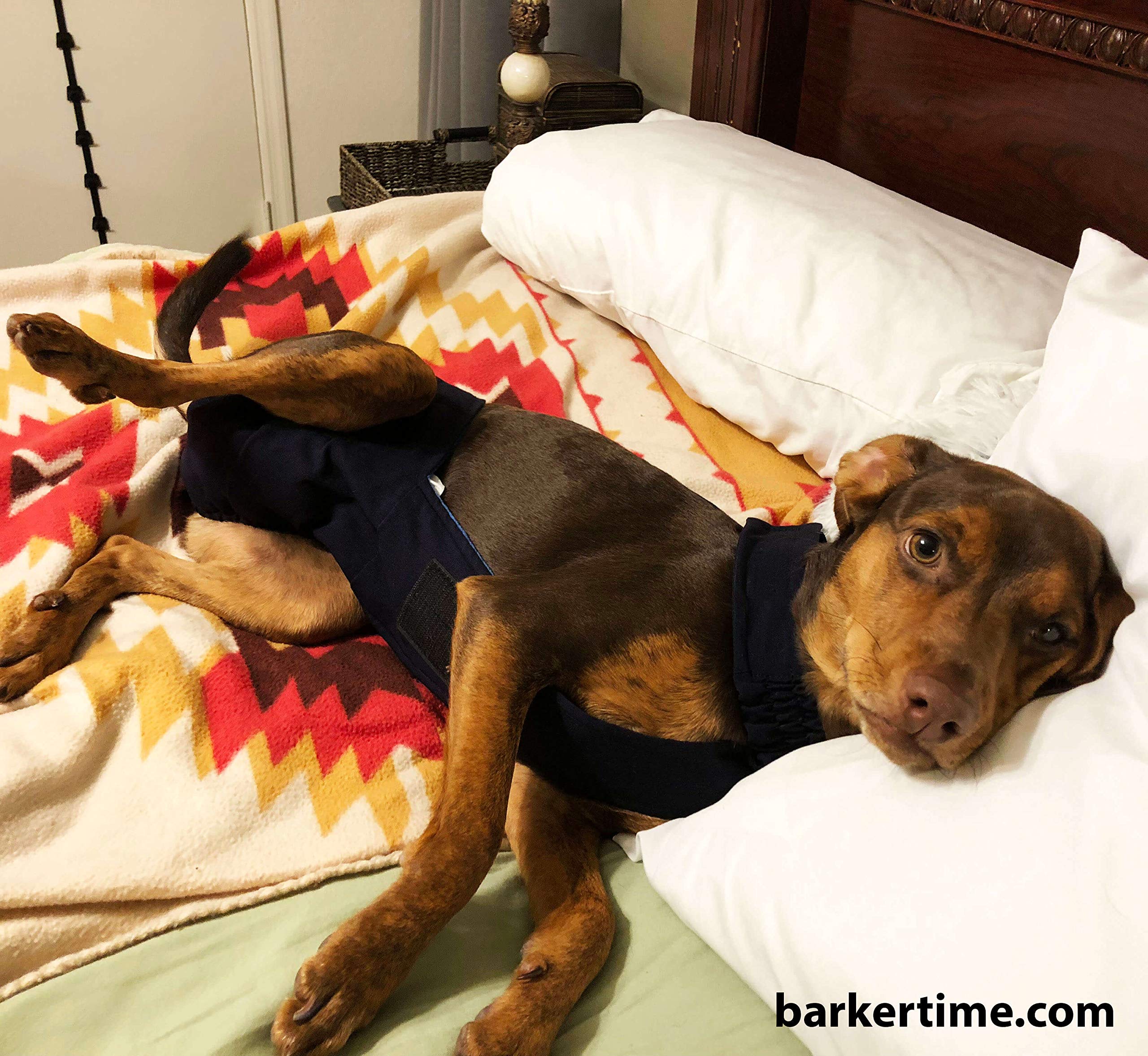 Premium Midnight Black Dog Diaper Overall with Tail Hole - Size L, Made in USA | Absorbent & Washable Pet Diapers for Incontinence, Travel & Post-Surgery Care