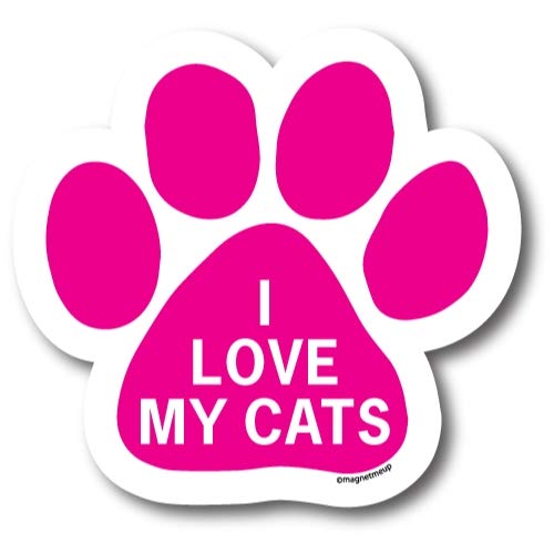 Cat-pink