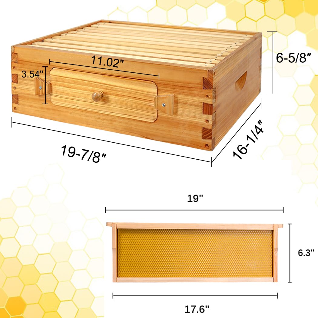 BeeCastle 10 Frame Medium Langstroth Beehive Box - Pre-Waxed Unassembled Wooden Bee Hive with Frames & Foundations - Perfect for Beekeeping, Honey Production & Backyard Apiaries