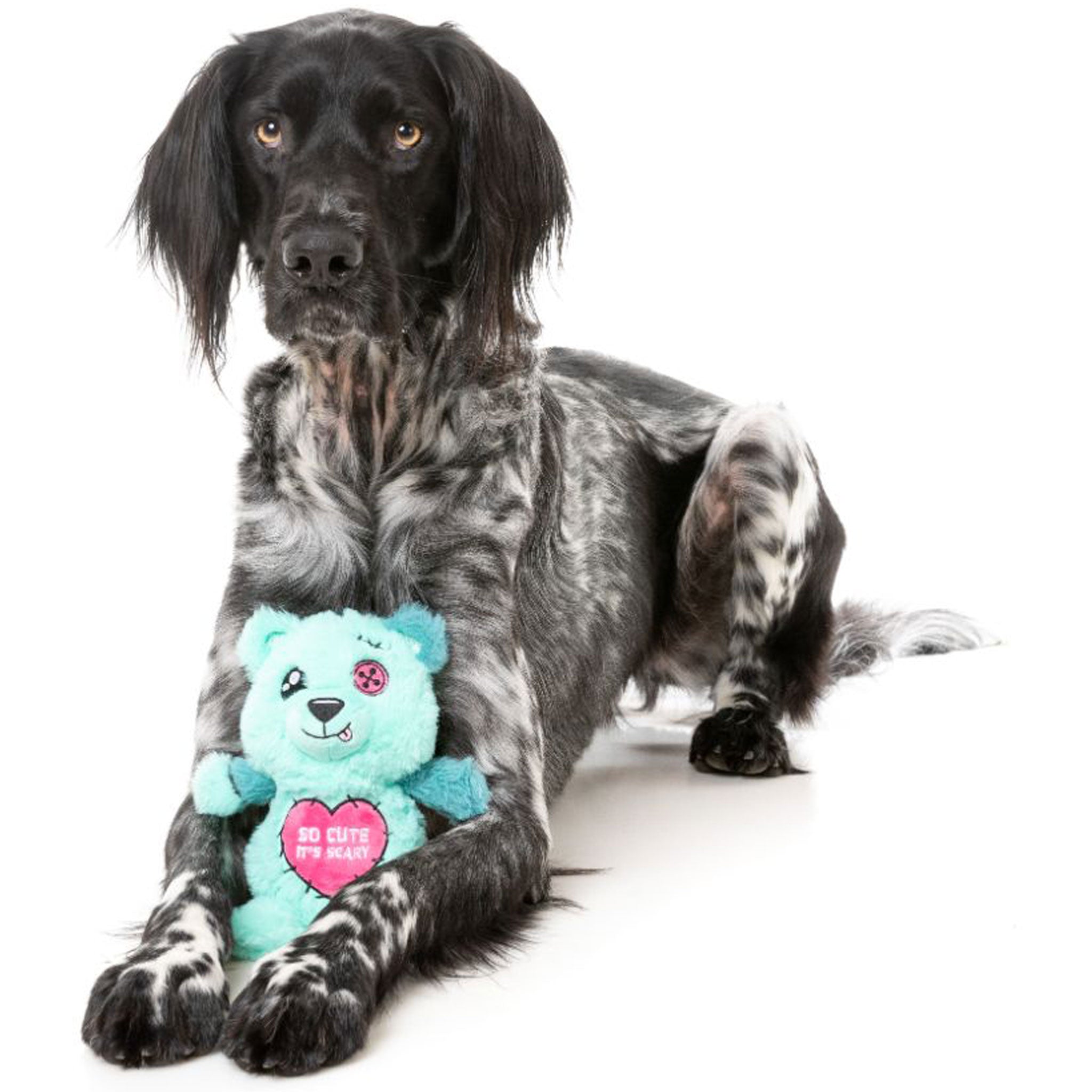 Scary Cute Green & Pink Plush Dog Toy - Fuzzyard Deaddy Bear for Chewing & Cuddling | Perfect Halloween Pet Gift & Comfort Toy for Anxious Dogs