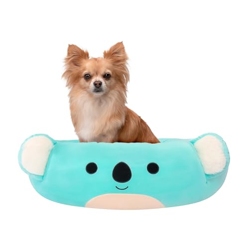 Aqua Koala