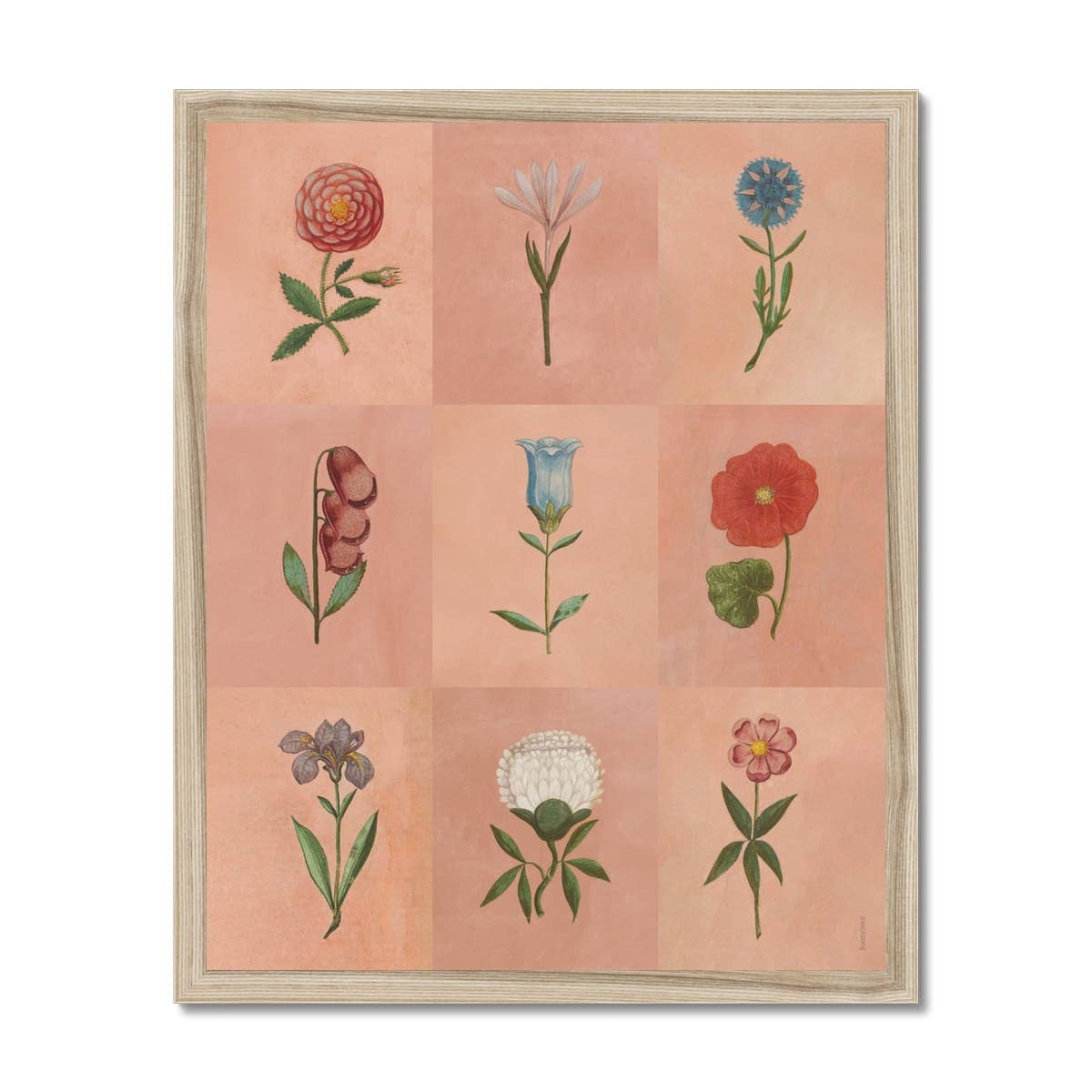 Festival of Flowers Art Print | 11x14 Inch Floral Wall Decor | Perfect for Living Room, Bedroom & Office Decorations