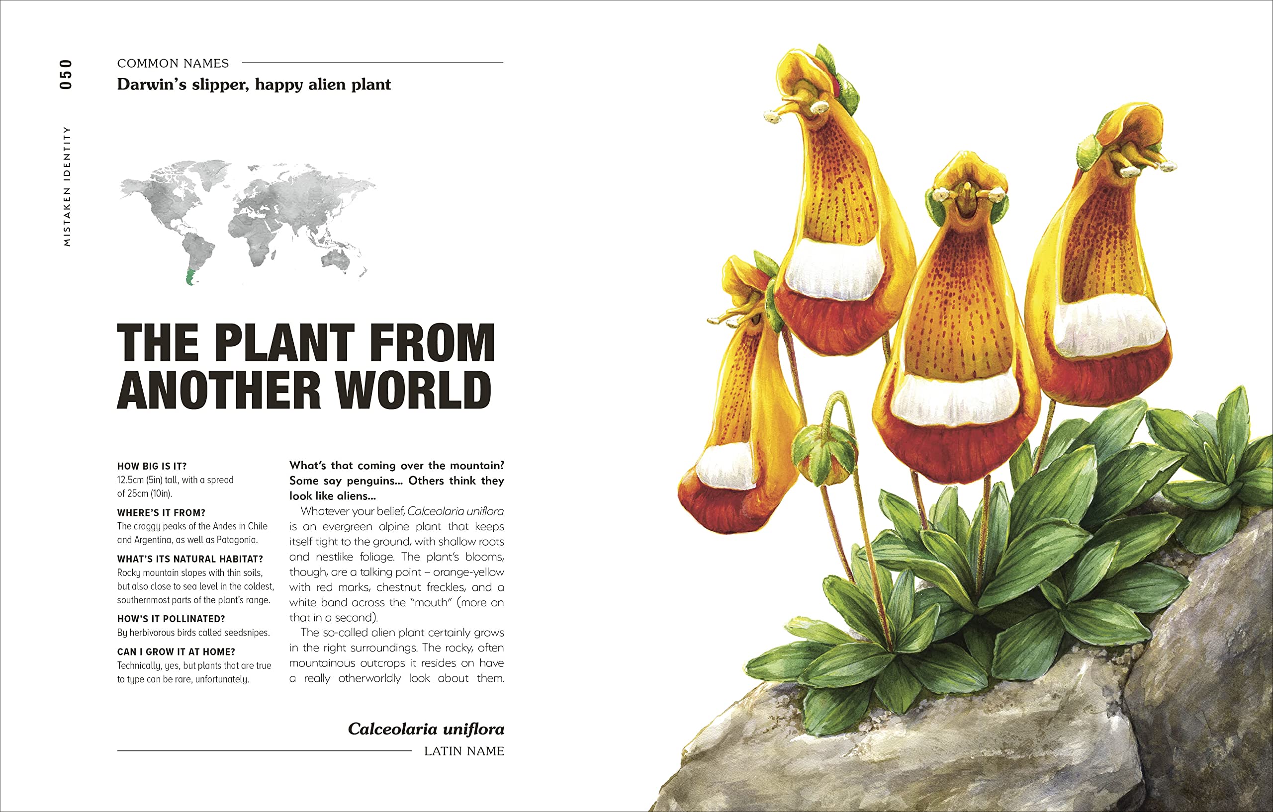 Discover the World's Most Unique Plants & Fungi | Hortus Curious Exotic Plant Guide | Perfect for Home Gardens & Nature Enthusiasts