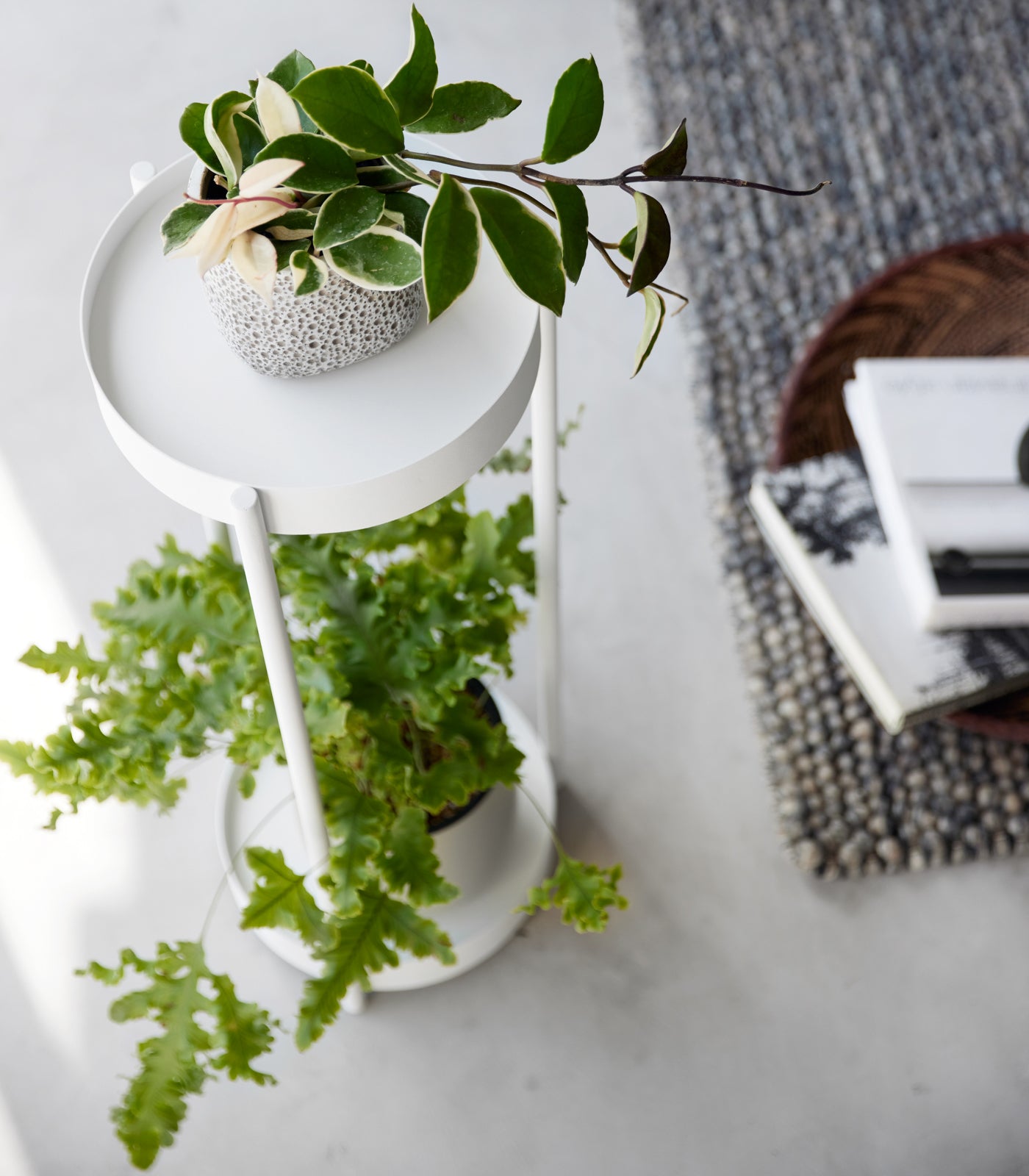 2-Tier Rolling Plant Stand - 28 Inch Height, Sturdy Steel Frame - Perfect for Indoor/Outdoor Garden Decor, Balcony, Patio, or Living Room Plant Display