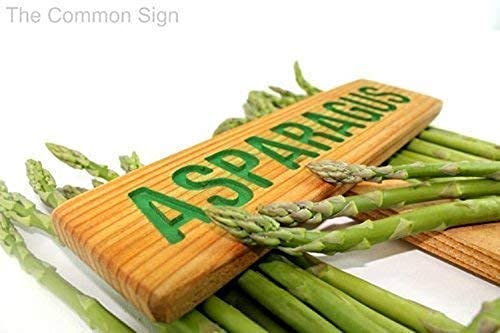 Handcrafted ASPARAGUS Garden Sign - Painted & Oil Sealed Cedar Wood Vegetable Plant Marker for Outdoor Gardens, Farmhouse Decor, and Herb Identification | Perfect for Vegetable Patches, Kitchen Gardens & Farmhouse Style Landscaping