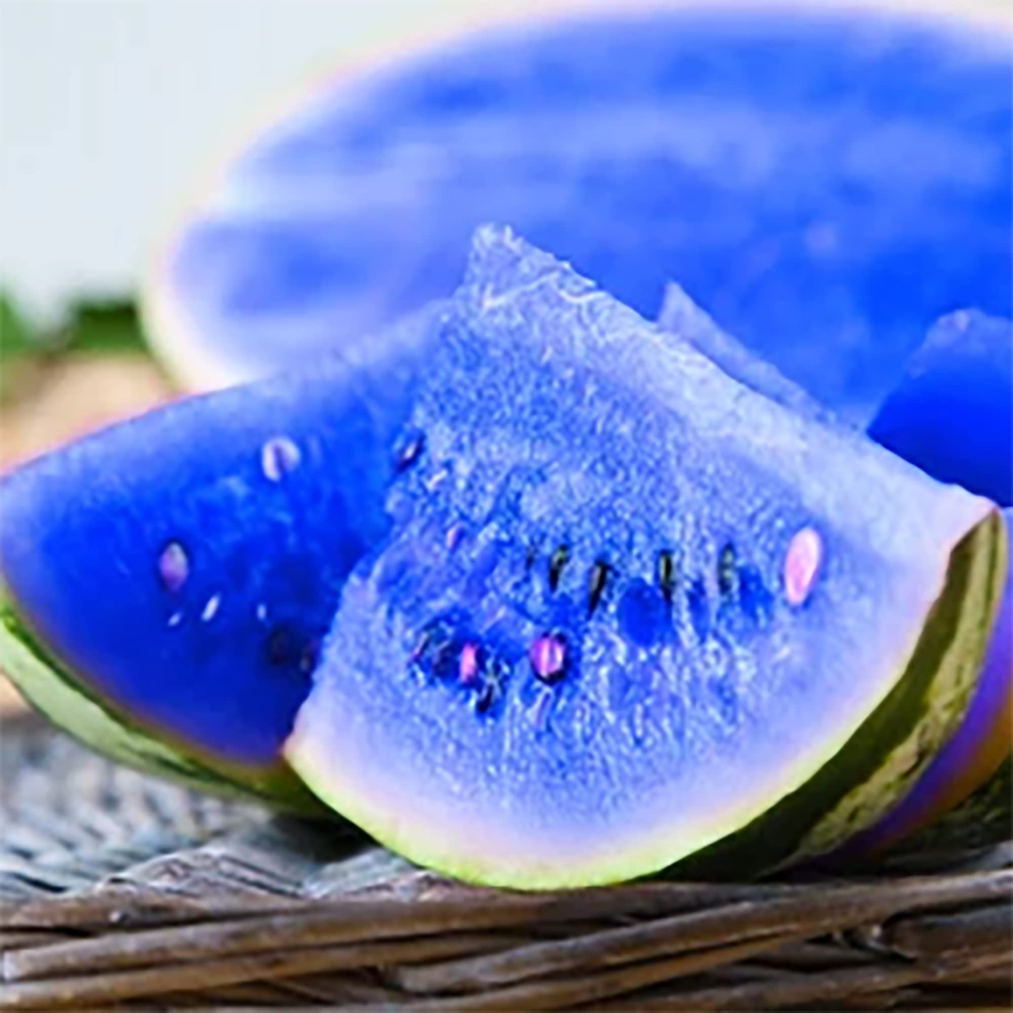 100 Rare Blue Watermelon Seeds for Planting - Sweet, Juicy, Non-GMO Heirloom Fruit Seeds | Easy to Grow Delicious Fruit for Home Garden & Outdoor Farming | Perfect for Fresh Eating, Juicing, and Summer Picnics