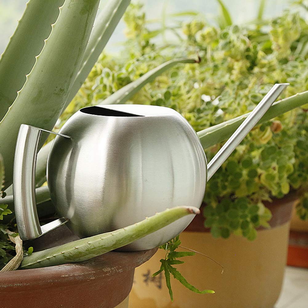 Stainless Steel Long Spout Watering Can 1000mL - Easy Pour Indoor Outdoor Plant Watering Pot for Potted Flowers, Home, Office, Garden & Yard - Perfect for Delicate Plants and Precise Watering