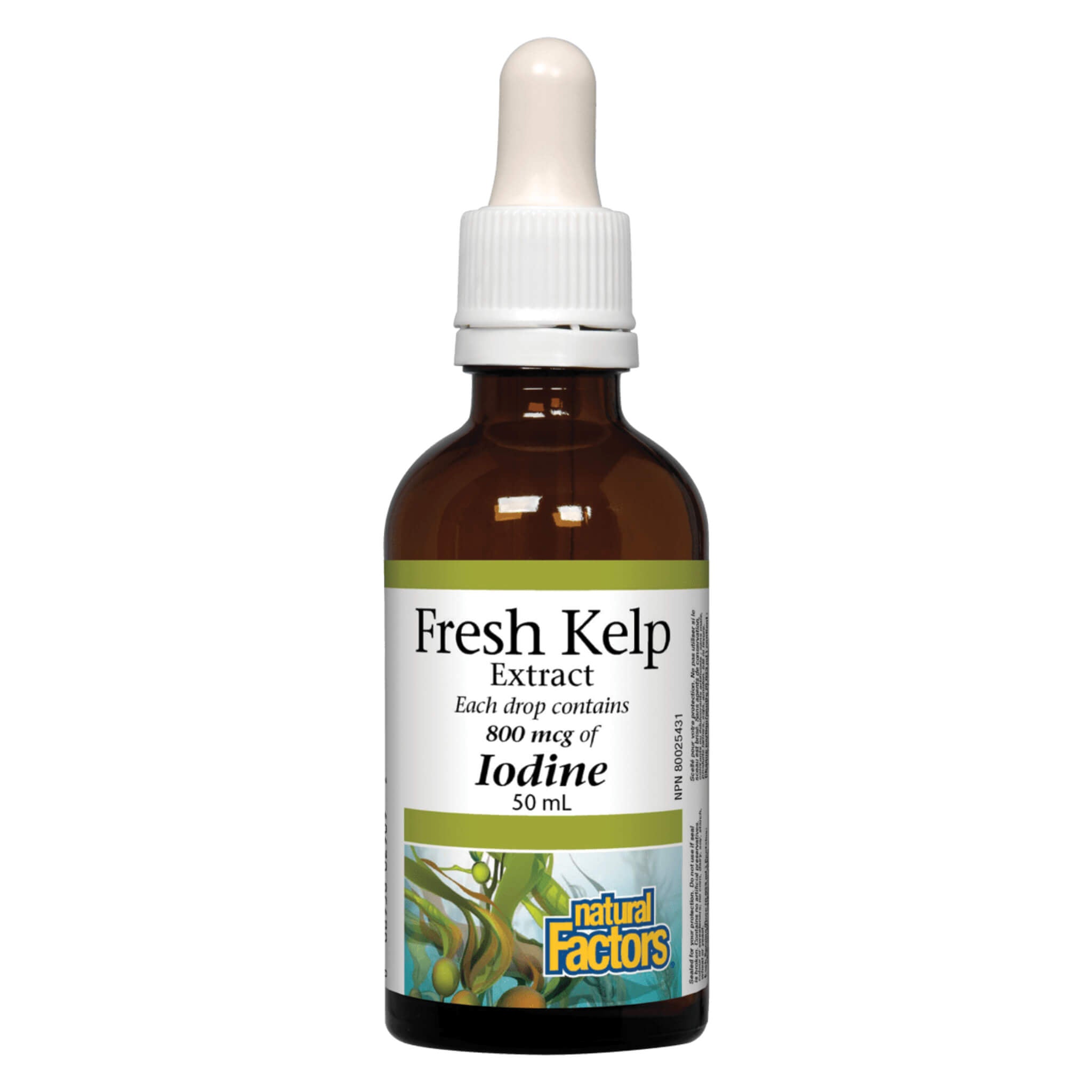Premium Organic Fresh Kelp Extract Powder - Rich in Iodine & Minerals for Thyroid Support, Skin Health & Detox - Perfect for Smoothies, Supplements & Skincare DIY